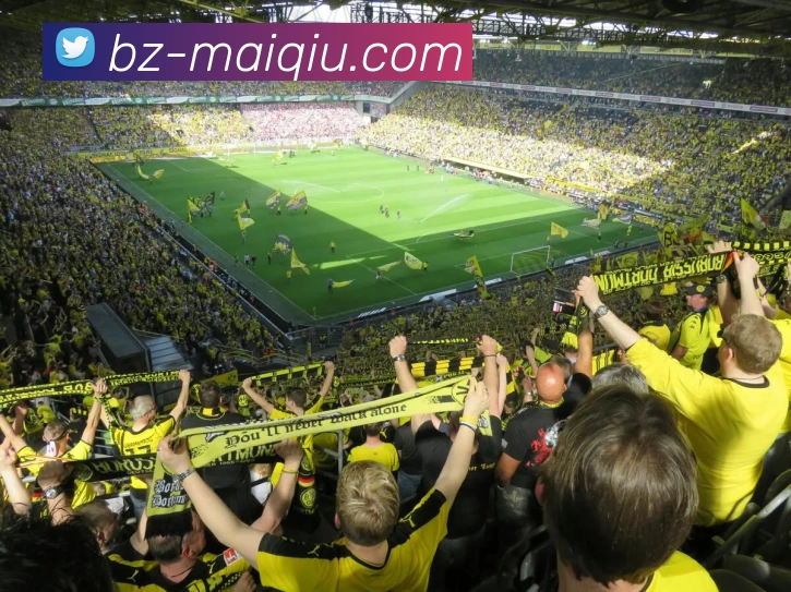 多媒体互动体验